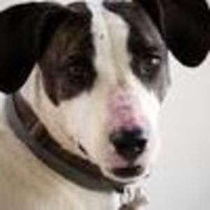 Meet your Posher, Carole